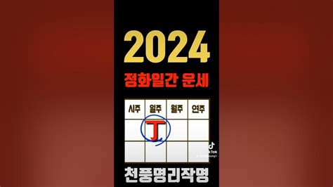 丁火 2024